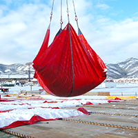 Snow Tarps